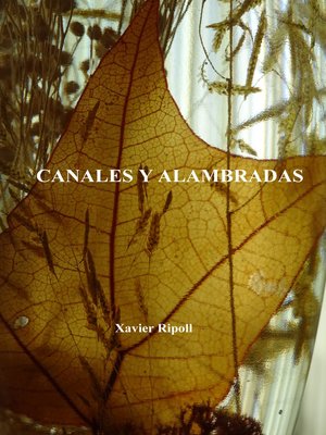 cover image of Canales y alambradas